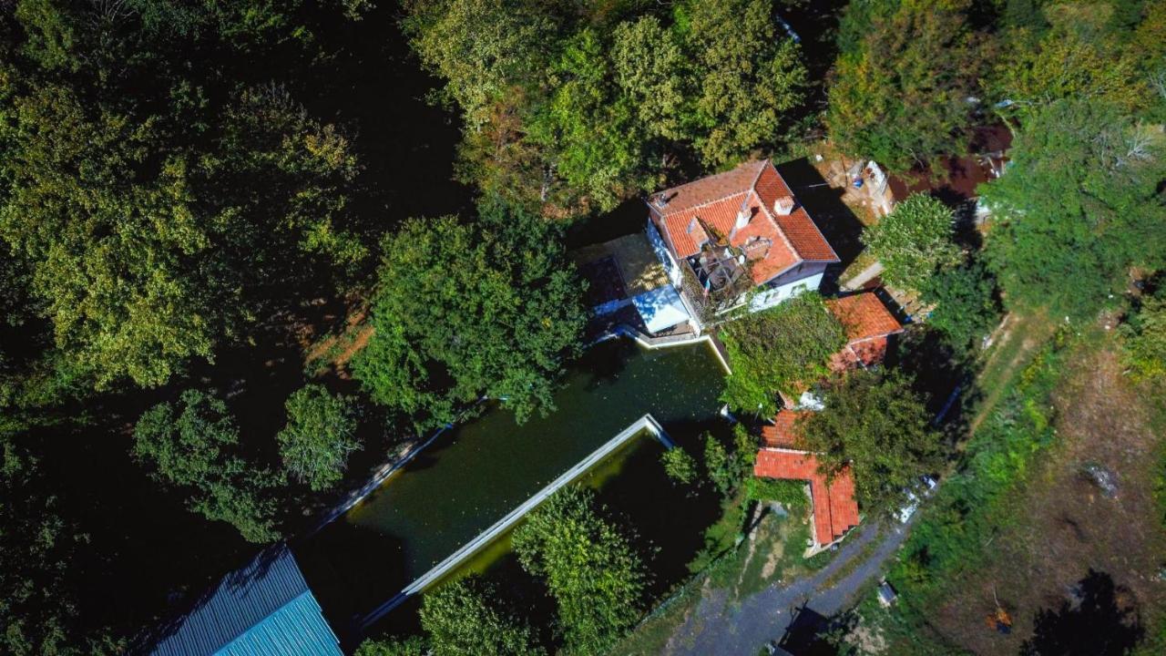 Рибарник Forest Мagic Topolitsa Dış mekan fotoğraf